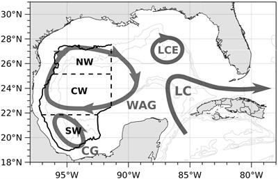 Contribution of the wind and Loop Current eddies to the circulation in the western Gulf of Mexico
